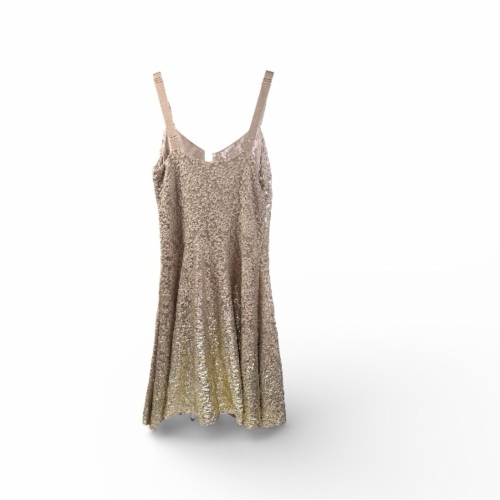 Free People Ombre Foil Lace Fit & Flare Mini Dress